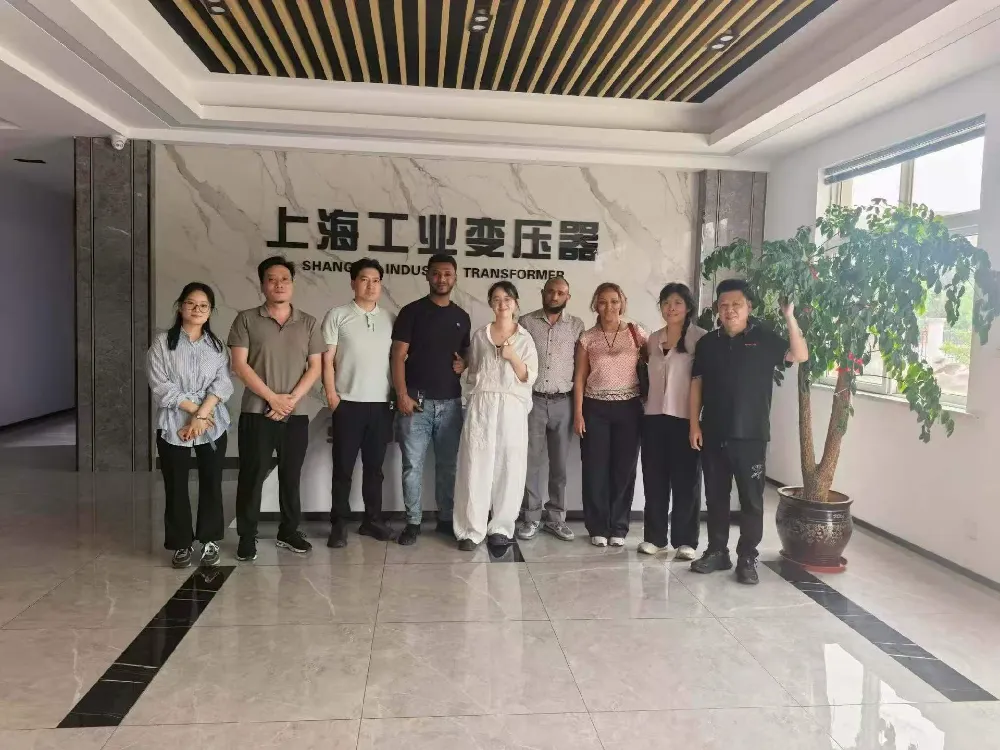 Mainit na Pagtanggap! Ang Delegasyon ng Ethiopia ay bumisita sa Shanghai Industrial Transformer Co., Ltd. para sa Pagpapalitan ng mga Transformer at Power Distribution Equipment